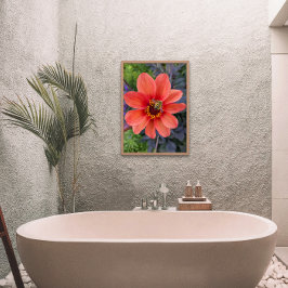 Biene auf Orange Dahlia Bloom Floral Fotodruck