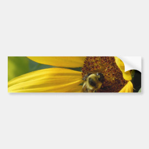 Biene auf Sonnenblume Autoaufkleber