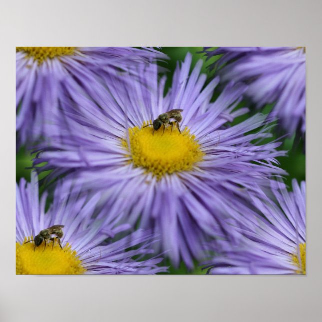 Biene auf violetten Blumen Natur Poster (Vorne)
