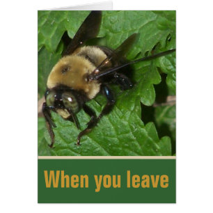 Biene auf Zitronen-Balsam