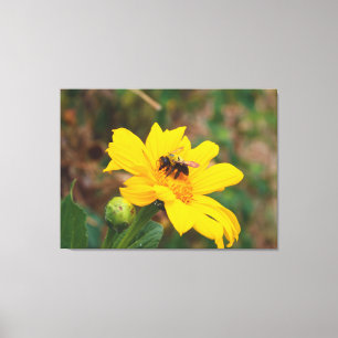 Biene bestäubt strahlend gelbe Blume Fotografie Leinwanddruck