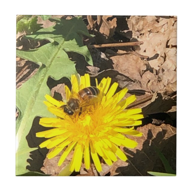 Biene Fliese (Vorderseite)