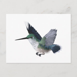 Biene Hummingbird Female Postkarte
