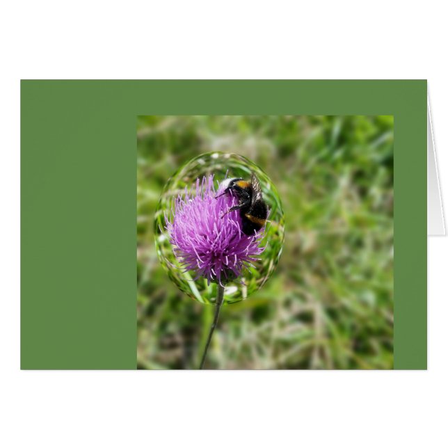 Biene in Blase (Vorderseite (Horizontal))