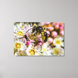 Biene in der Nachbarschaft Canvas Print 36 x 24 Leinwanddruck