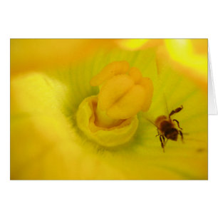 Biene innerhalb der Zucchini-Blume