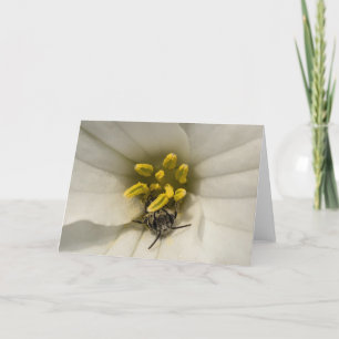 Biene innerhalb einer Trillium-Wildblume Notecard Karte