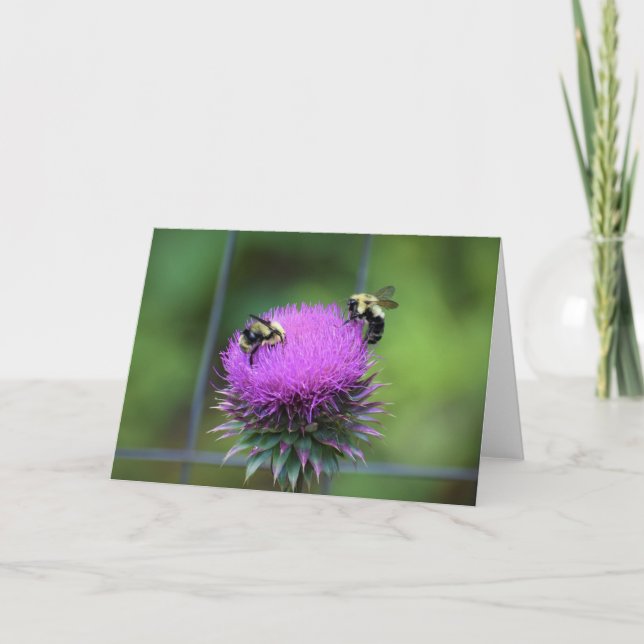 Biene, Karte (Vorderseite)