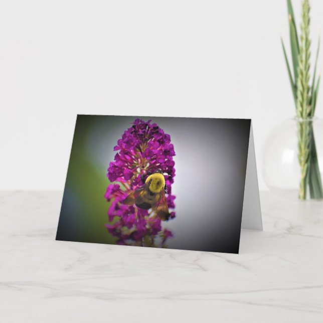 Biene, Karte (Vorderseite)