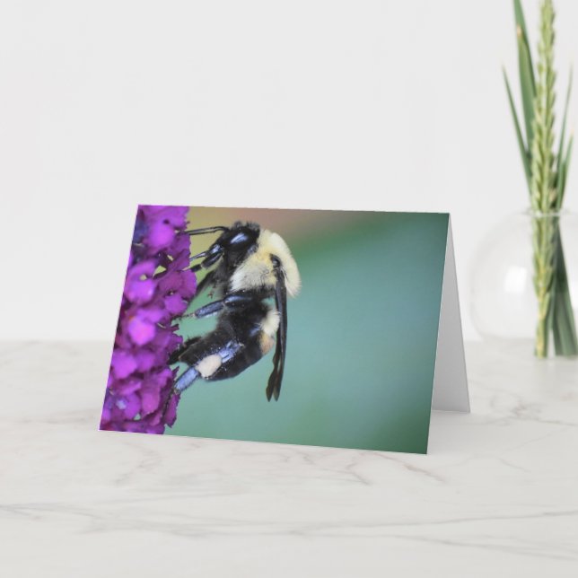 Biene, Karte (Vorderseite)