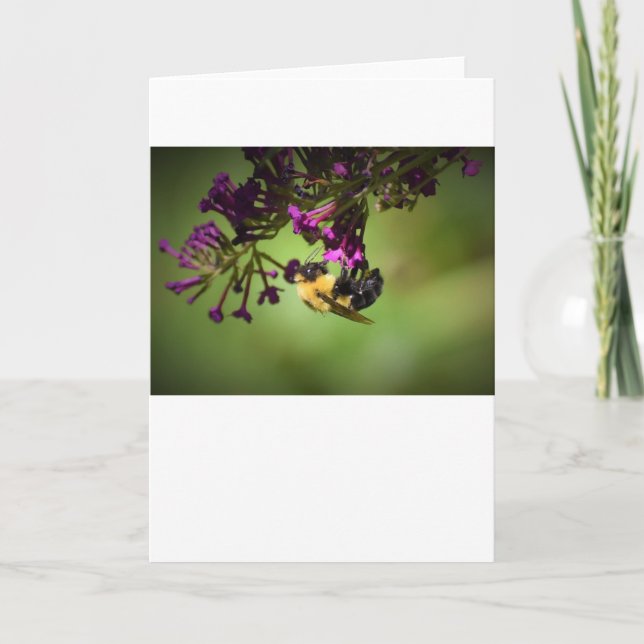 Biene, Karte (Vorderseite)