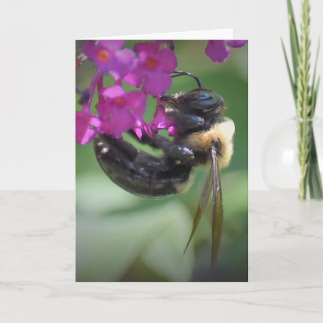 Biene, Karte (Vorderseite)