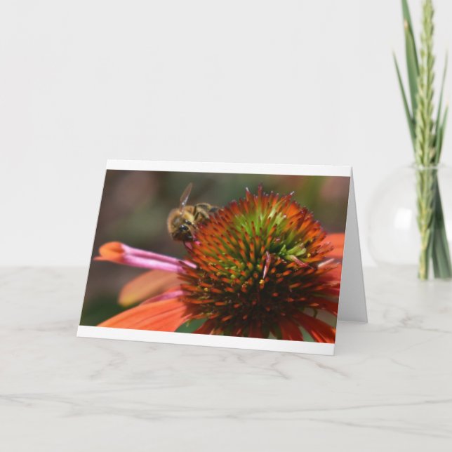 Biene, Karte (Vorderseite)