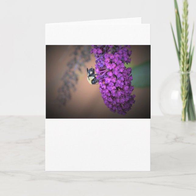 Biene, Karte (Vorderseite)