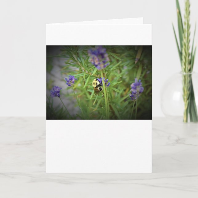 Biene, Karte (Vorderseite)