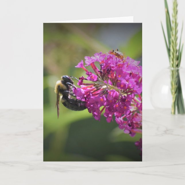 Biene, Karte (Vorderseite)