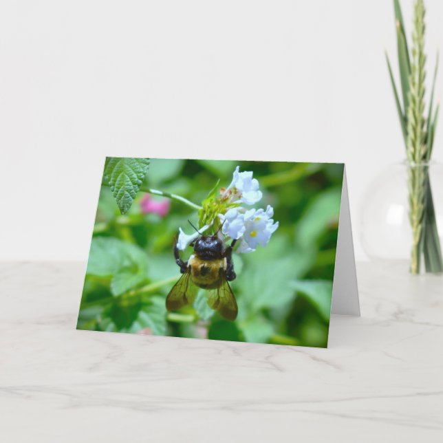 Biene, Karte (Vorderseite)