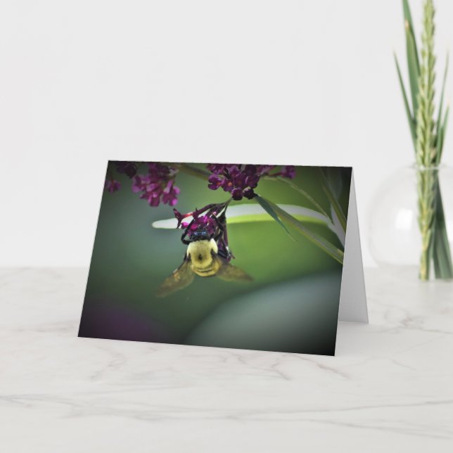 Biene, Karte (Vorderseite)