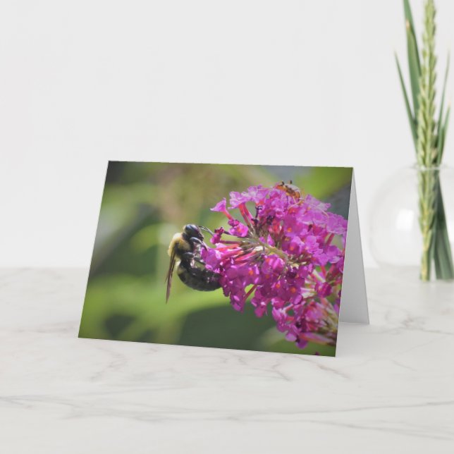 Biene, Karte (Vorderseite)