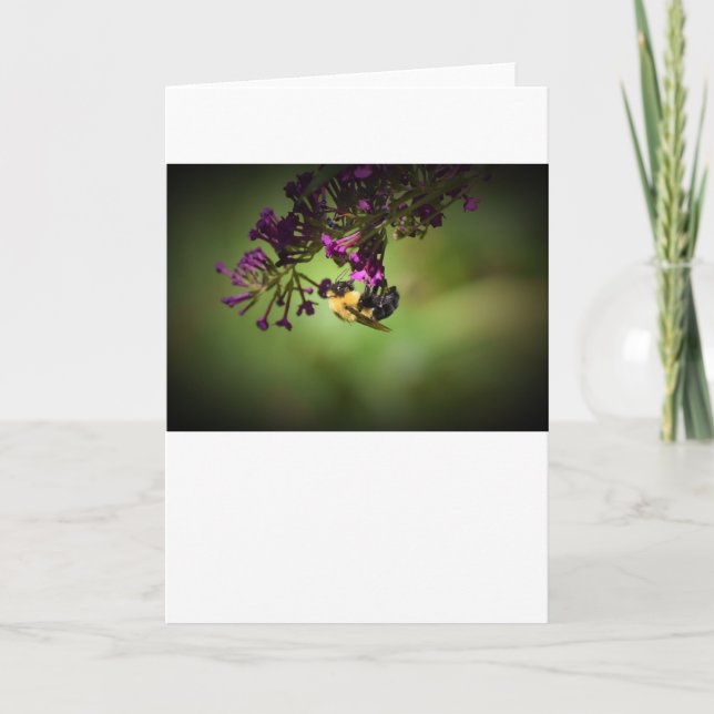 Biene, Karte (Vorderseite)