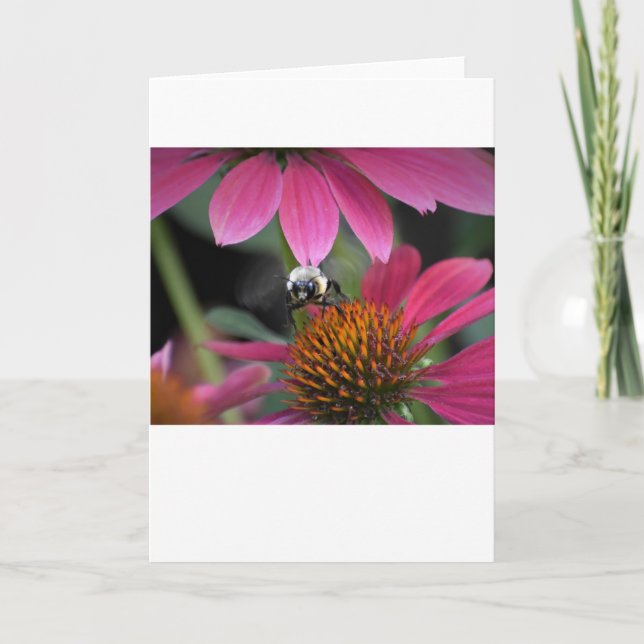 Biene, Karte (Vorderseite)