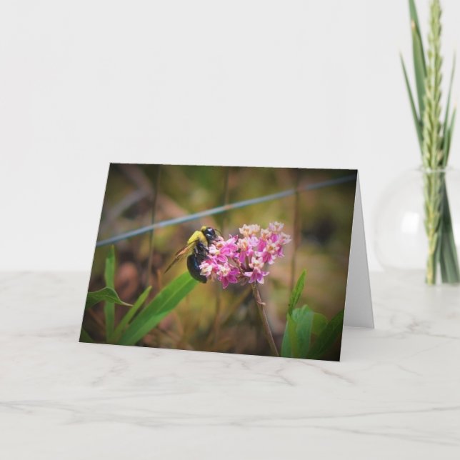 Biene, Karte (Vorderseite)