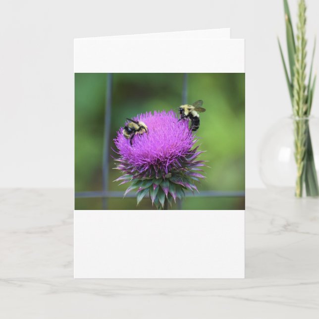 Biene, Karte (Vorderseite)