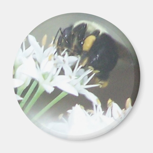 Biene Magnet (Vorne)