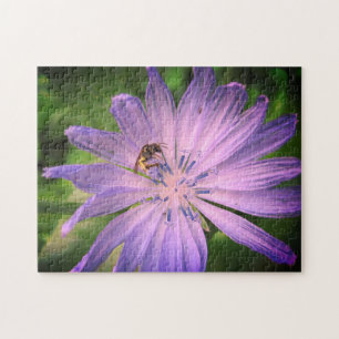 Biene Pollinieren einer Lila Blume