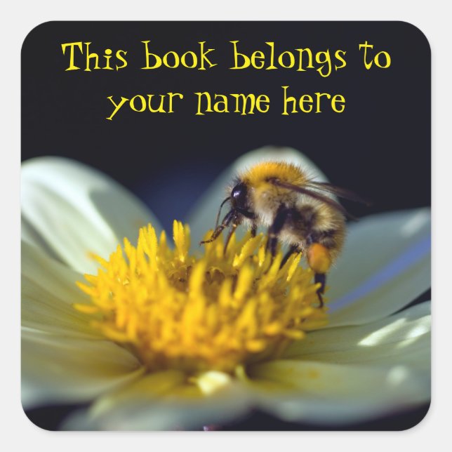 Biene "This book gehört to" Aufkleber (Vorderseite)