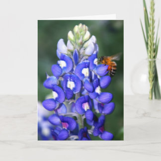 Biene u. Bluebonnet Karte