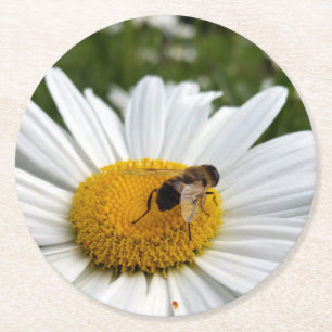 Biene und Biene Runder Pappuntersetzer