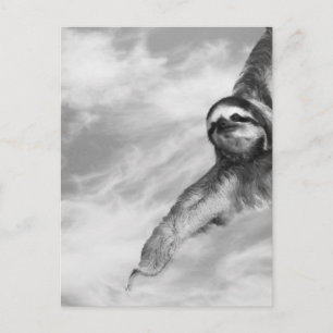 Biene und Faultier Postkarte