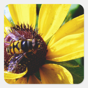 Biene und gelbe Blume Quadratischer Aufkleber