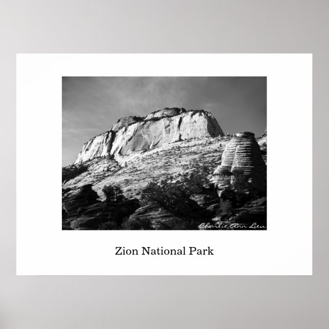 Biene und Monolith Poster (Vorne)