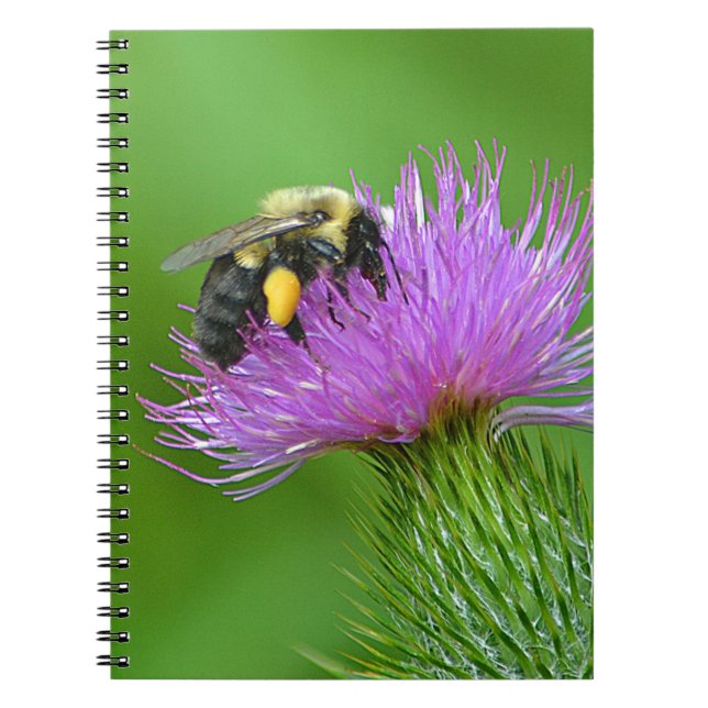 Biene und Thistle-Notebook Notizblock (Vorderseite)