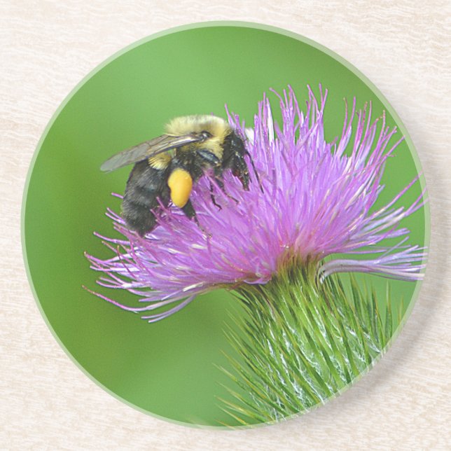 Biene und Thistle Sandstone Untersetzer (Vorne)