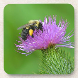 Biene und Thistle Untersetzer