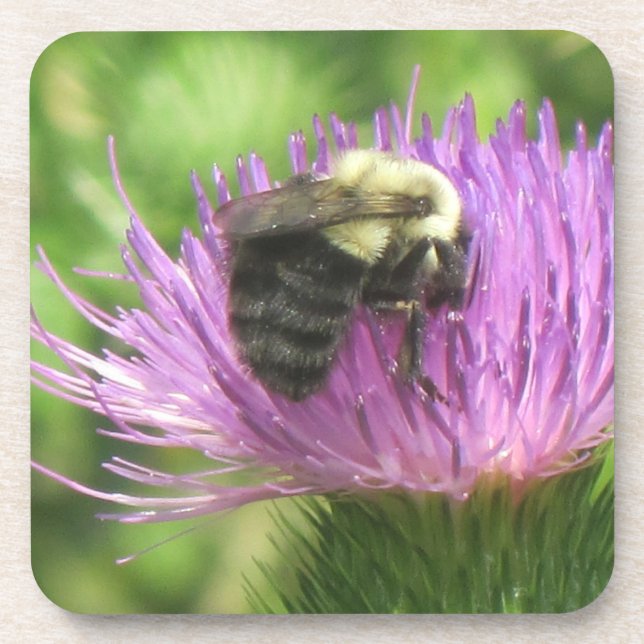 Biene und Thistle-Untersetzer Untersetzer (Vorderseite)