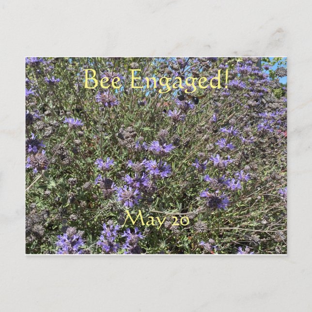 Biene Verlobt: Weltbienentag Postkarte (Vorderseite)