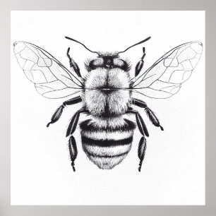 Biene Wild Nature Animal Illustration Zeichnend Ku Poster