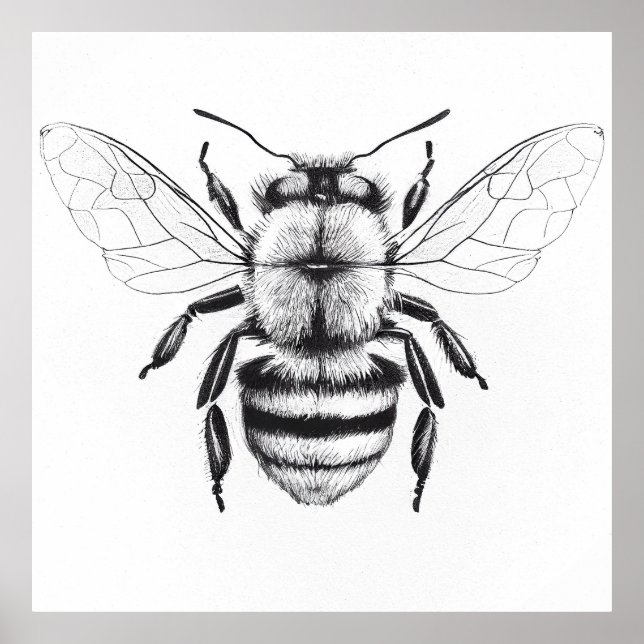 Biene Wild Nature Animal Illustration Zeichnend Ku Poster (Vorne)