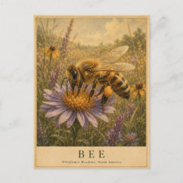 Biene Wildblumenwiesen VINTAGE Postkarte