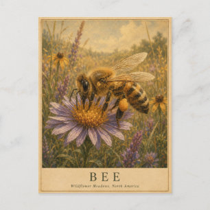 Biene Wildblumenwiesen VINTAGE Postkarte