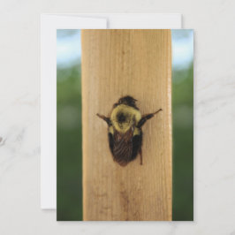 Biene-zilla Einladung