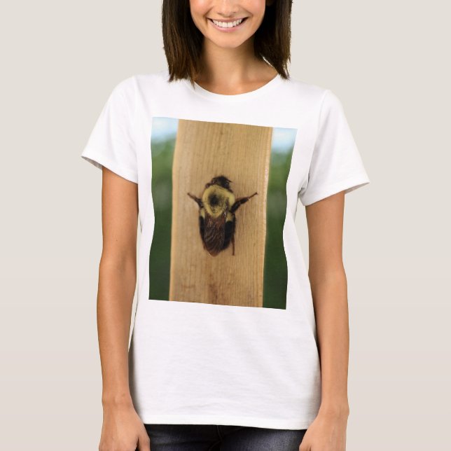 Biene-zilla T-Shirt (Vorderseite)