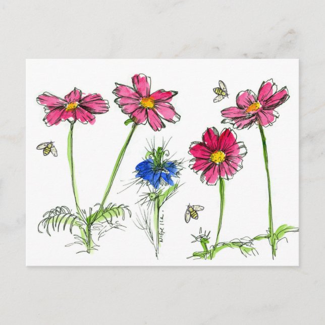 Bienen Aquarell Blume Rosa Kosmos Postkarte (Vorderseite)
