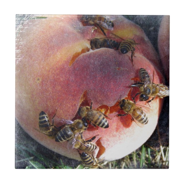 Bienen auf einem Pfirsich Fliese (Vorderseite)