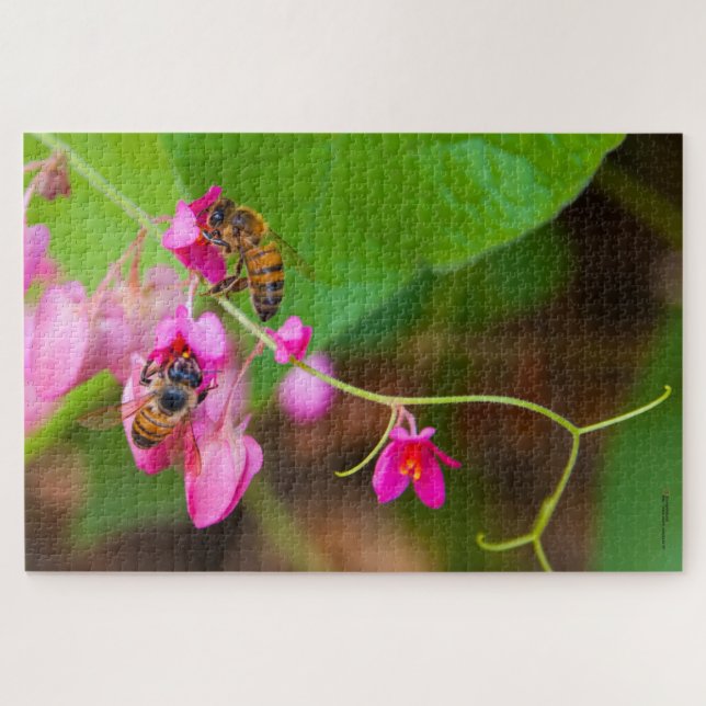 Bienen auf Korallenweinpflanzen Blume Fotografie (Horizontal)