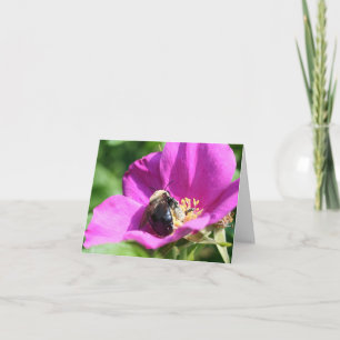 Bienen auf rosa Rosen-Naturfotografie-Notiz Karte